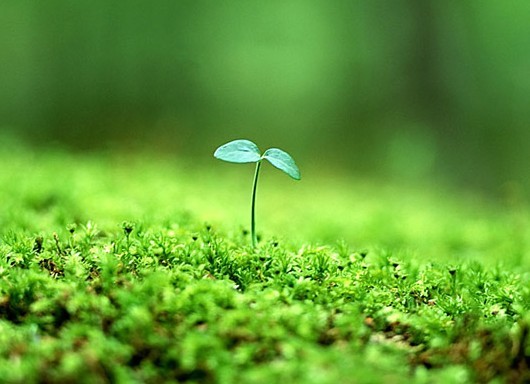 立春养生:护阳气