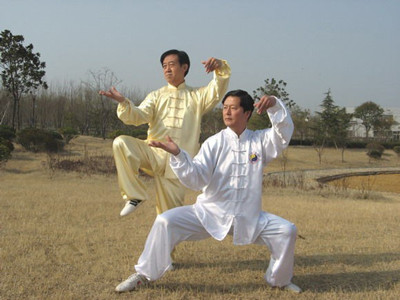 太极拳的内劲指的是什么?