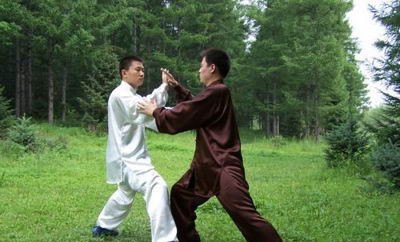 太极拳推手怎么练?