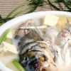 鱼头炖豆腐 益容颜补体虚