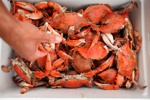 惊!街边小吃危害程度曝光