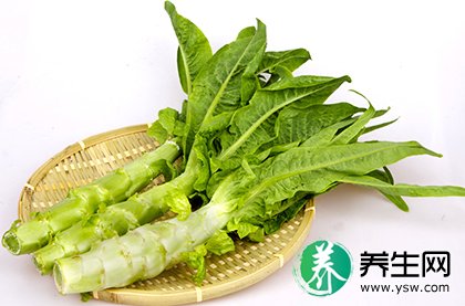 莴笋