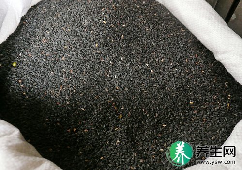 黑芝麻粉 乌黑头发止血通便 黑芝麻粉 乌黑头发止血通便